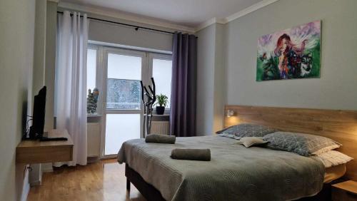 Un dormitorio con una cama grande y una ventana en Apartament Gwiazda 303, en Krynica-Zdrój