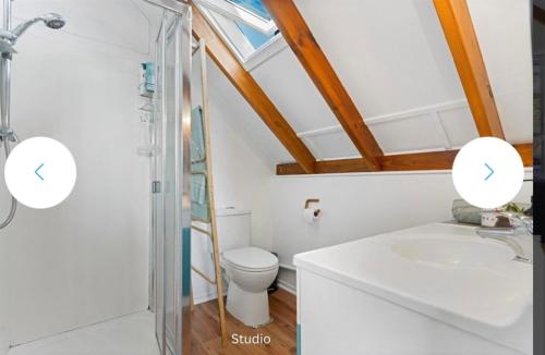 a bathroom with a toilet and a sink and a shower at The Lookbox Studio in Auckland