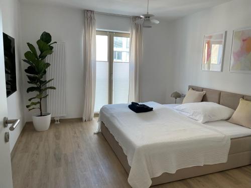 a white bedroom with a bed and a potted plant at LIGHTPLACE • Moderne Innenstadt-Wohnung • Balkon zur Oker in Braunschweig
