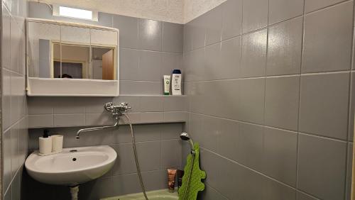 a bathroom with a sink and a mirror at PRONÁJEM APARTMÁNU V TANVALDU in Tanvald