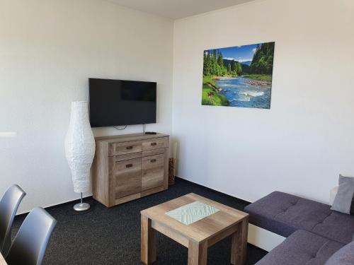 a living room with a couch and a tv at Horská Vyhlídka in Tanvald