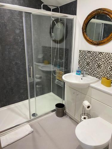 a bathroom with a shower and a toilet and a sink at Holly's Lodge in Wellington