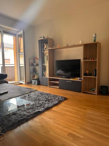 a living room with a large entertainment center with a flat screen tv at Apartament Meisenweg in Biel