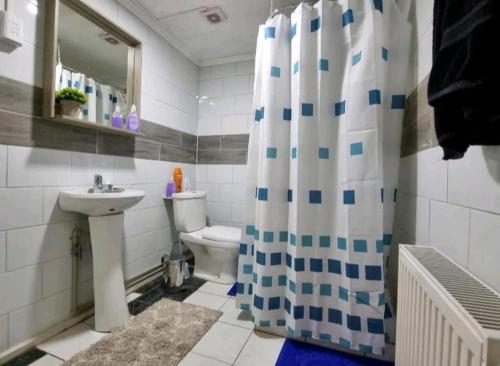 y baño con lavamanos y cortina de ducha. en Hostal Host Patagonia, en Punta Arenas