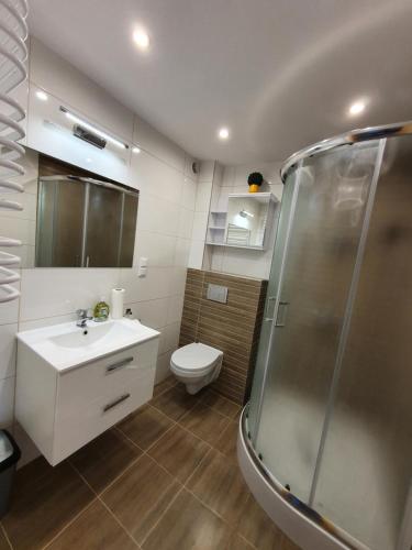 y baño con aseo, lavabo y ducha. en MTK Pokoje i Apartamenty, en Smołdzino