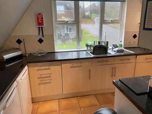 a kitchen with a sink and a window at Honicombe Valley lodge 25 in Gunnislake