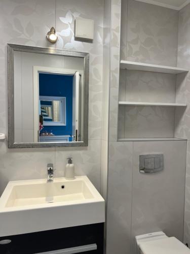 a bathroom with a sink and a mirror and a toilet at Apartments Lili Flora in Zadar