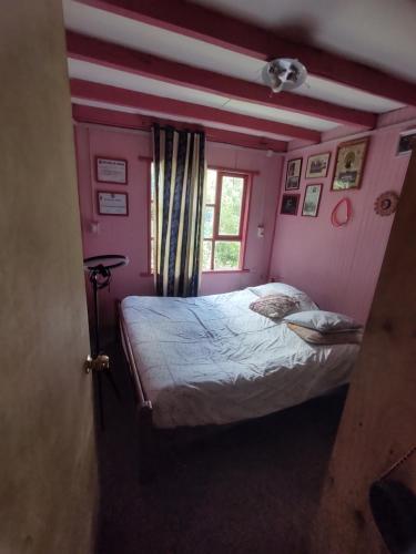 a bedroom with a bed in a room with pink walls at La recta del 14 in Agua Fría