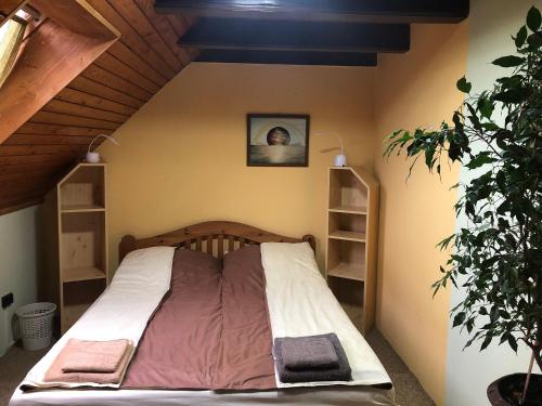 Un dormitorio con una cama y una planta en una habitación en Szivárvány Vendégház en Vértestolna