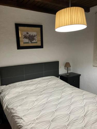 a bedroom with a white bed and a lamp at Sierra de Huelva-Chalet completo in El Cerro de Andévalo
