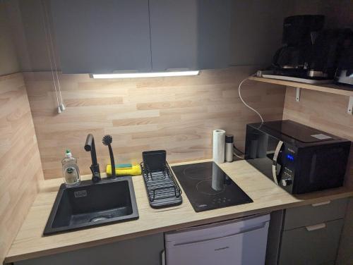 une cuisine avec un comptoir avec un évier et un micro-ondes dans l'établissement Studio avec vue lac au centre ville proche des Thermes, à Aix-les-Bains