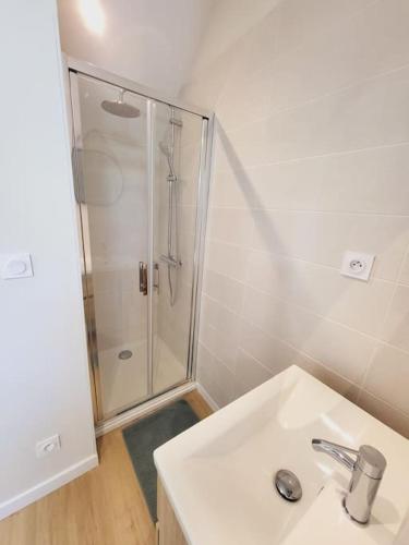 une salle de bain avec un lavabo et une douche dans l'établissement Maison duplex hyper centre ville, à Laval