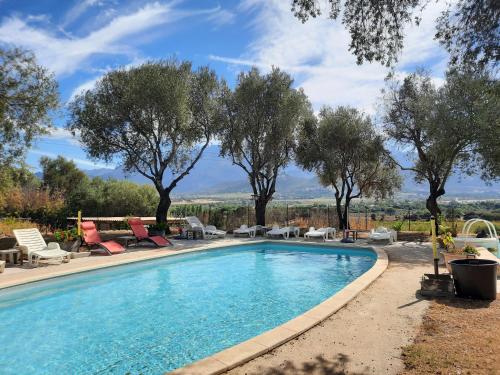 - une piscine avec des chaises, des tables et des arbres dans l'établissement Location L'épi d'or Calvi, demeure de charme, à Calvi