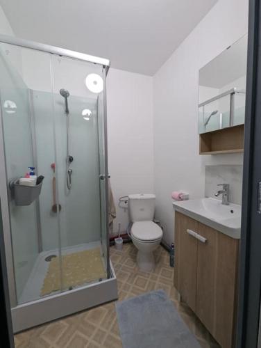 a bathroom with a shower and a toilet and a sink at Chez les P'tits loups in Strasbourg