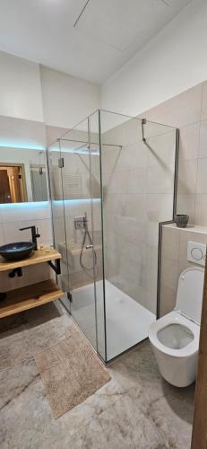 ein Bad mit einer Dusche und einem WC in der Unterkunft Peace Haven in Ypern