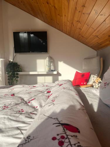 a bedroom with a bed with a television on the wall at Podkrovní apartmán s balkónem in Ostrava