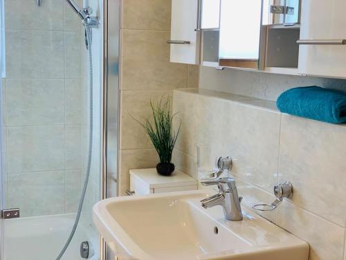 a bathroom with a sink and a shower at SEEnsation Classic - Mainaublick in Uhldingen-Mühlhofen