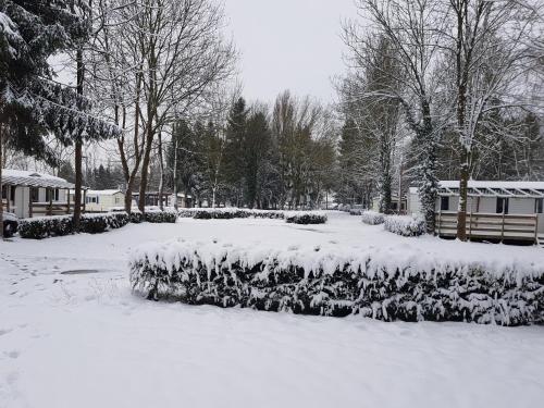 eine schneebedeckte Hecke in einem Garten mit Bäumen in der Unterkunft Camping Le Ried *** Mobil Home Cosy 3 chambres Proche Europa Park Rulantica in Boofzheim