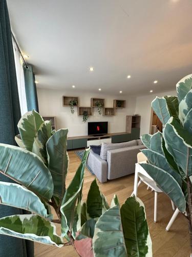 un salon avec un canapé et quelques plantes dans l'établissement TD HOUSE, à Paris