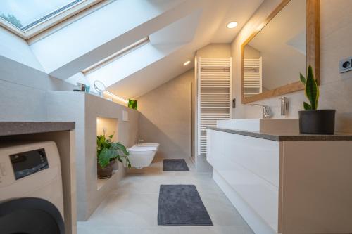 e bagno mansardato con servizi igienici e lavandino. di Apartmán Malá Morávka - DZ RENT a Dolní Moravice