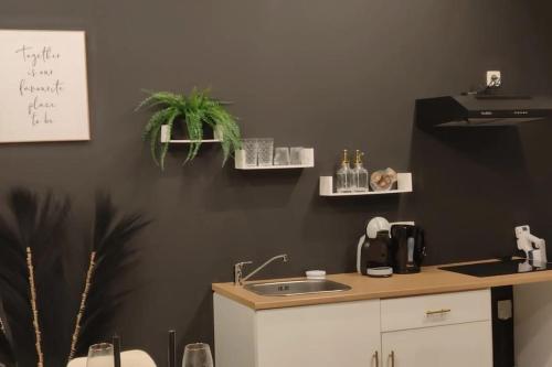 a kitchen with a sink and plants on the wall at Logement romantique et cosy in Charleroi