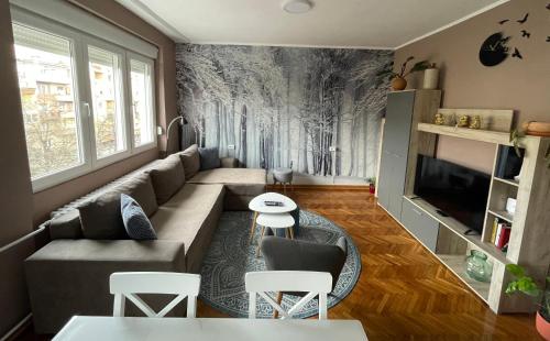a living room with a couch and a tv at Apartman Avenia in Novi Sad