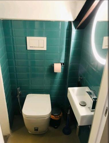 La salle de bains verte est pourvue de toilettes et d'un lavabo. dans l'établissement Loft in pieno centro storico, à Reggio d'Émilie
