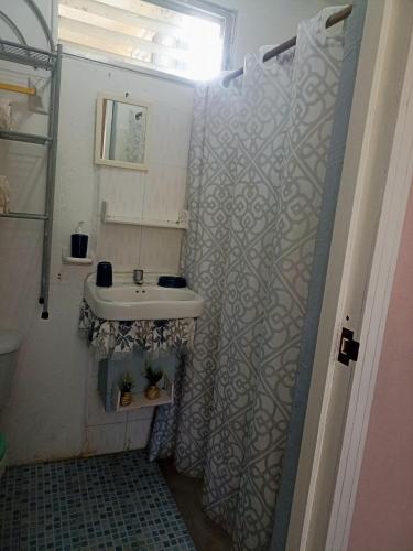 baño con lavabo y cortina de ducha en Apartamento en planta alta, a pie de calle, en Cozumel