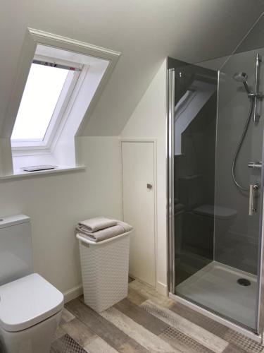ein Bad mit einer Dusche und einem WC in der Unterkunft Aultnagar Accommodation in Orkney