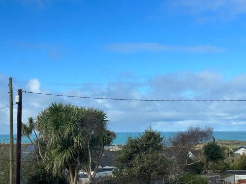 a view of the ocean and a palm tree at Porth View Newquay in Saint Columb Minor