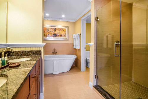 a bathroom with a tub and a sink and a shower at South Mountain Resort in Lincoln