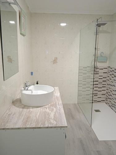 a bathroom with a sink and a glass shower at Apartamento Roma in Ciudad-Rodrigo