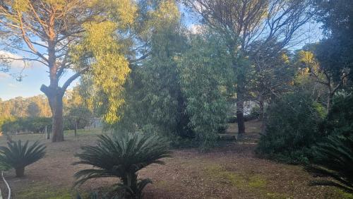 Κήπος έξω από το La Pineta