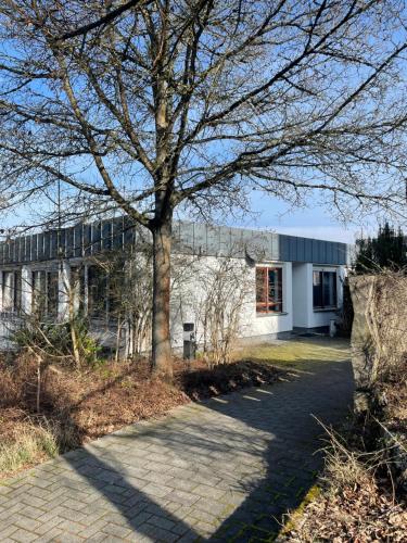 a tree in front of a white building at Stay Westend in Wetzlar