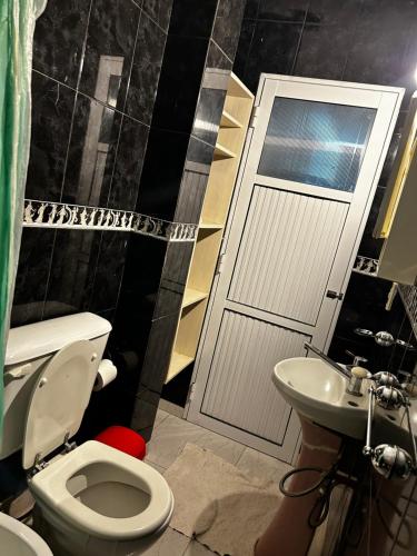 ベジャ・ビスタにあるAmplio monoambienteのバスルーム(トイレ、洗面台付)