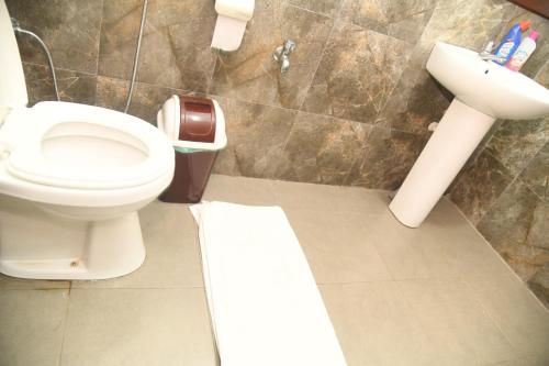 a bathroom with a toilet and a sink at wild park safari home stay in Udawalawe