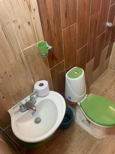 baño con aseo verde y lavamanos en Cabaña Roman en Cartagena de Indias