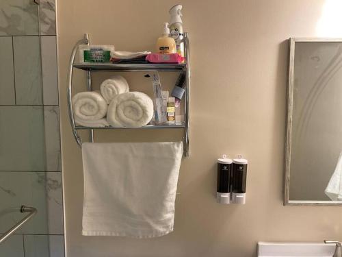 ein Badezimmer mit Handtuchhalter und Spiegel in der Unterkunft Stylishly designed basement. in Lawrenceville