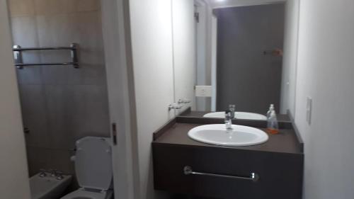 a bathroom with a sink and a toilet at Alfa & Omega Departamentos Turísticos in Dina Huapi
