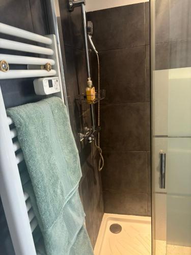 La salle de bains est pourvue d'une douche et d'une serviette verte. dans l'établissement Your Apartment at Riviera Bliss, à Antibes