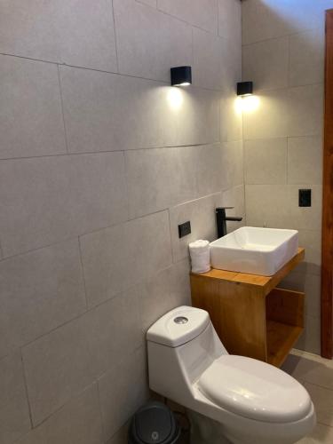 ein Badezimmer mit einem weißen WC und einem Waschbecken in der Unterkunft Los Lagos Lodge in San Gerardo de Dota