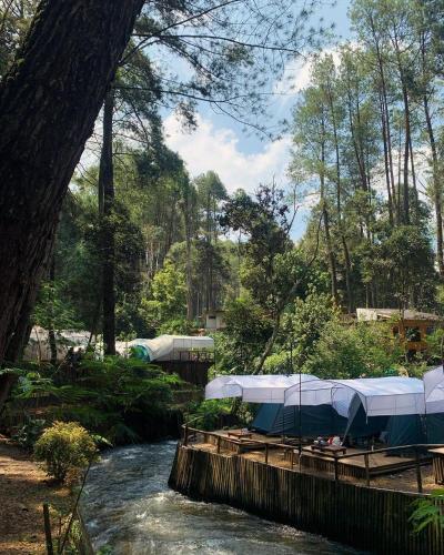 a river with tents in the middle of a forest at Camping muara rahong hills in Palayangan