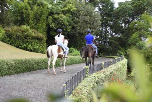 two people riding horses down a path at The Bellwood Manor in Nuwara Eliya