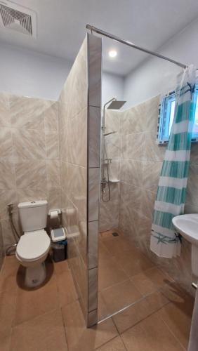 a bathroom with a shower and a toilet and a sink at J & L Apartelle in Moalboal