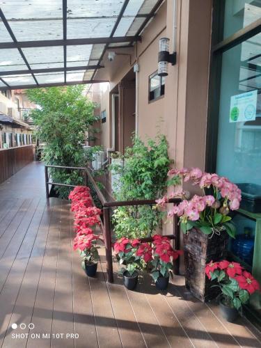 a group of flowers in pots in a building at Areena Resort and Hotel Uttaradit in Uttaradit