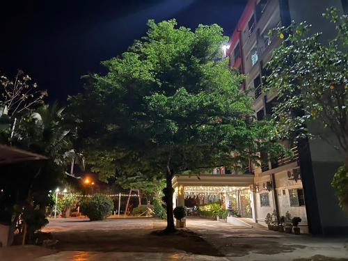 a tree in the middle of a street at night at Pilatus Apartment in Loei