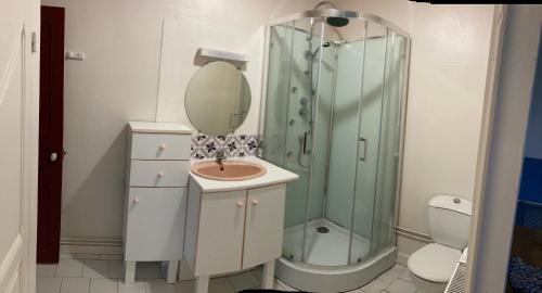 La salle de bains est pourvue d'un lavabo et d'une douche avec un miroir. dans l'établissement Maison 5 personnes, au Mans