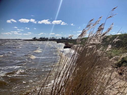 a body of water with tall grass in the foreground at Urlaubsruhe 6 Pers Holiday home w terrace close to National Park Lauwersmeer in Anjum