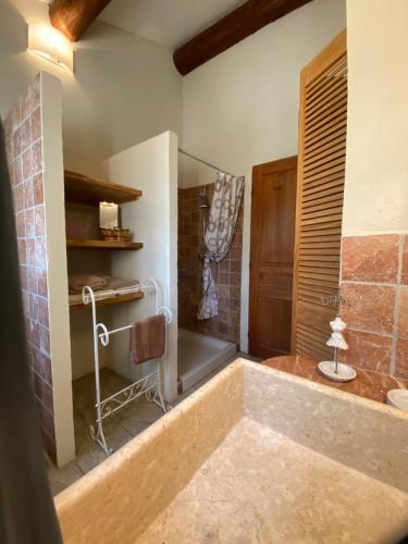 a large bathroom with a tub and a shower at La Petite Garrigue in Mérindol