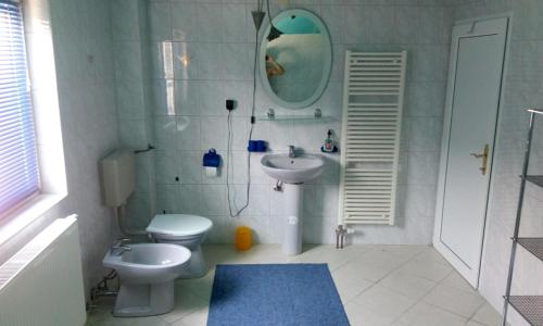 a bathroom with a toilet and a sink and a mirror at Apartments Hills in Ćukovi